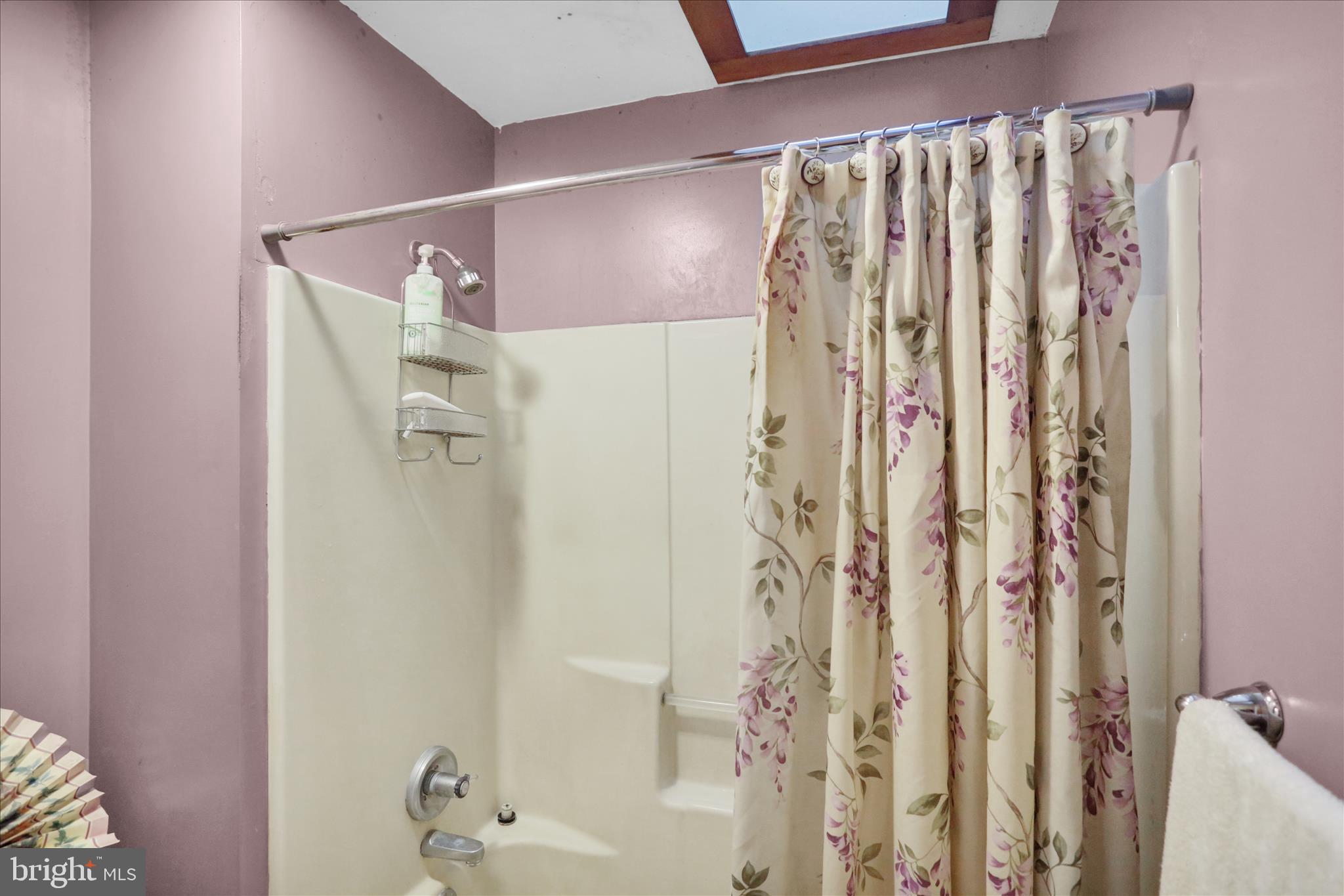 547 Seidels Run Road Leesport, PA 19533 - Photo 40 of 48 Hall bath w view of skylite