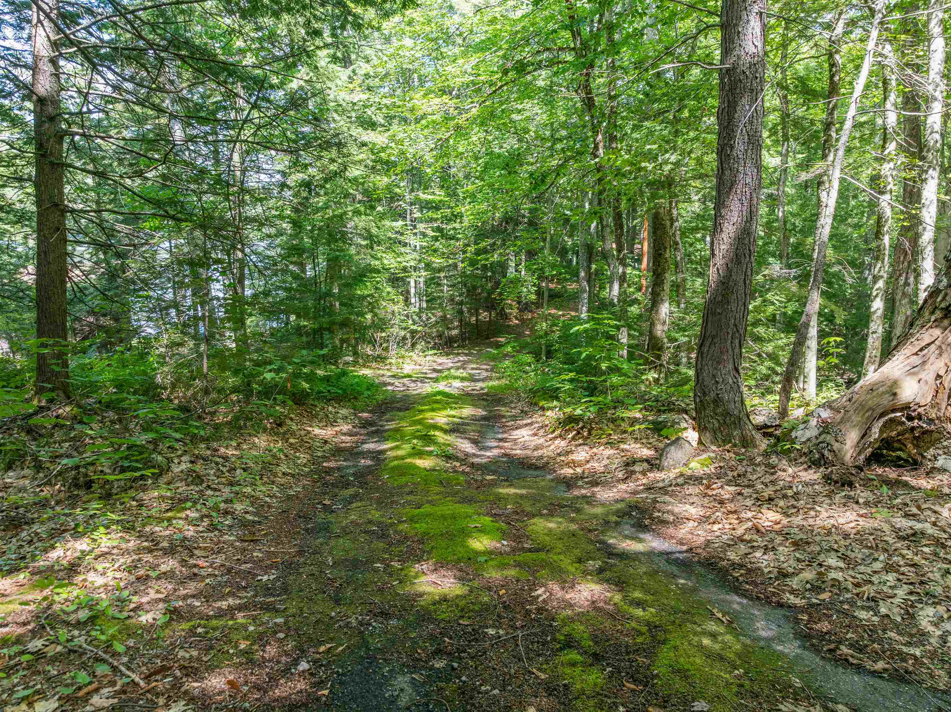 393 Chemung Road Meredith, NH 03253 - Photo 42 of 50 Gallery Image 42
