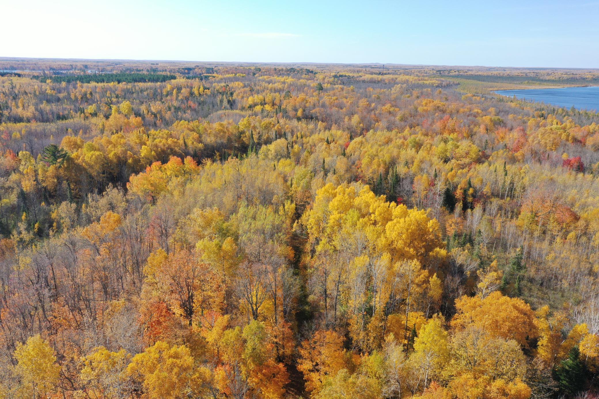 Tbd Tbd Shipley Road Saginaw, MN 55779 - Photo 1 of 1 Gallery Image 1