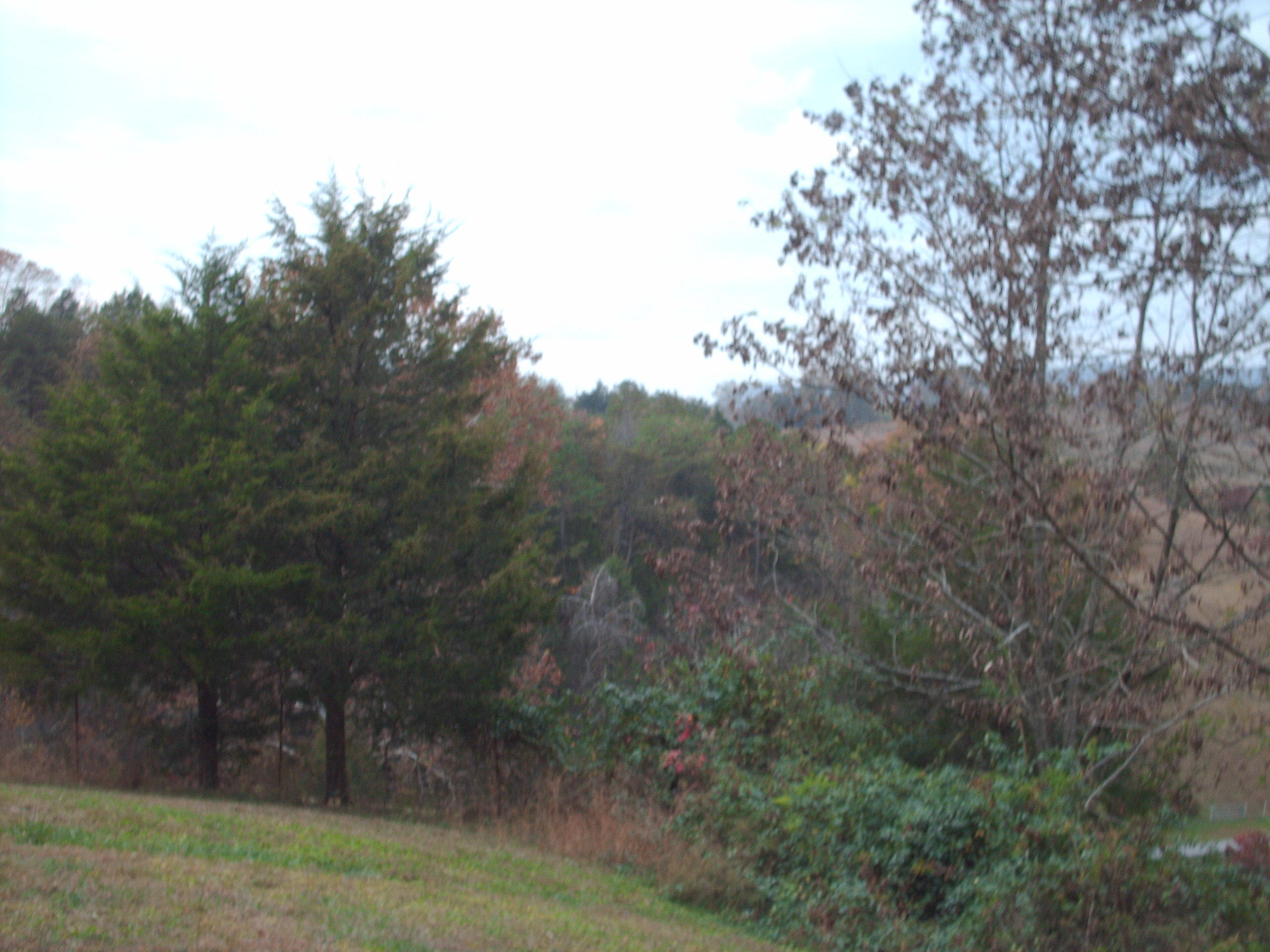 427 Loy Road Speedwell, TN 37870 - Photo 18 of 18 loy view