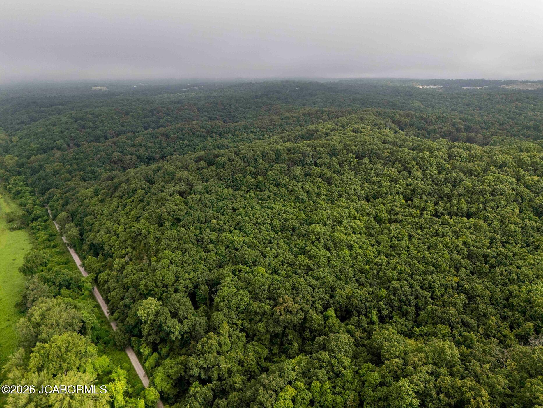 Tbd Talley Road Hartsburg, MO 65039 - Photo 67 of 106