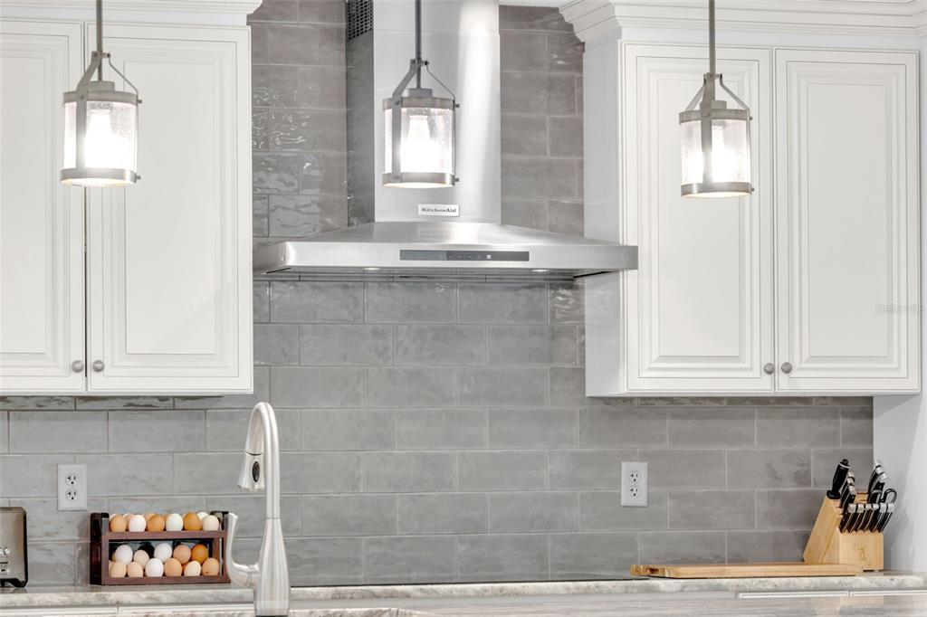 3535 Moores Lake Road Dover, FL 33527 - Photo 12 of 85 A DREAM KITCHEN!