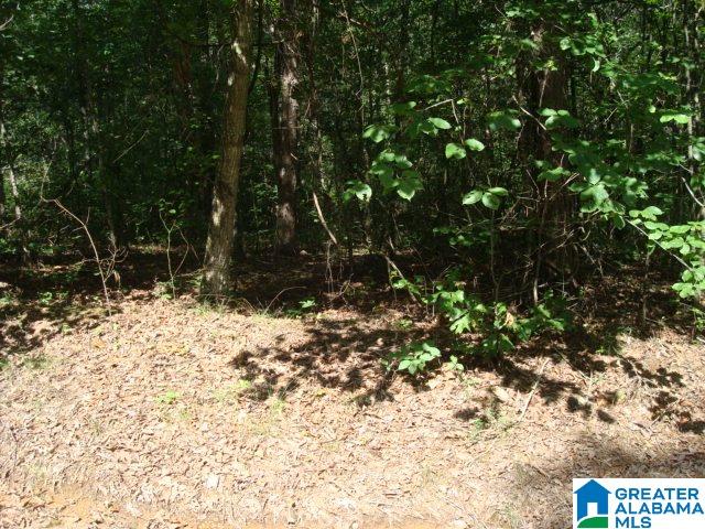 Evans Road Piedmont, AL 36272 - Photo 6 of 8