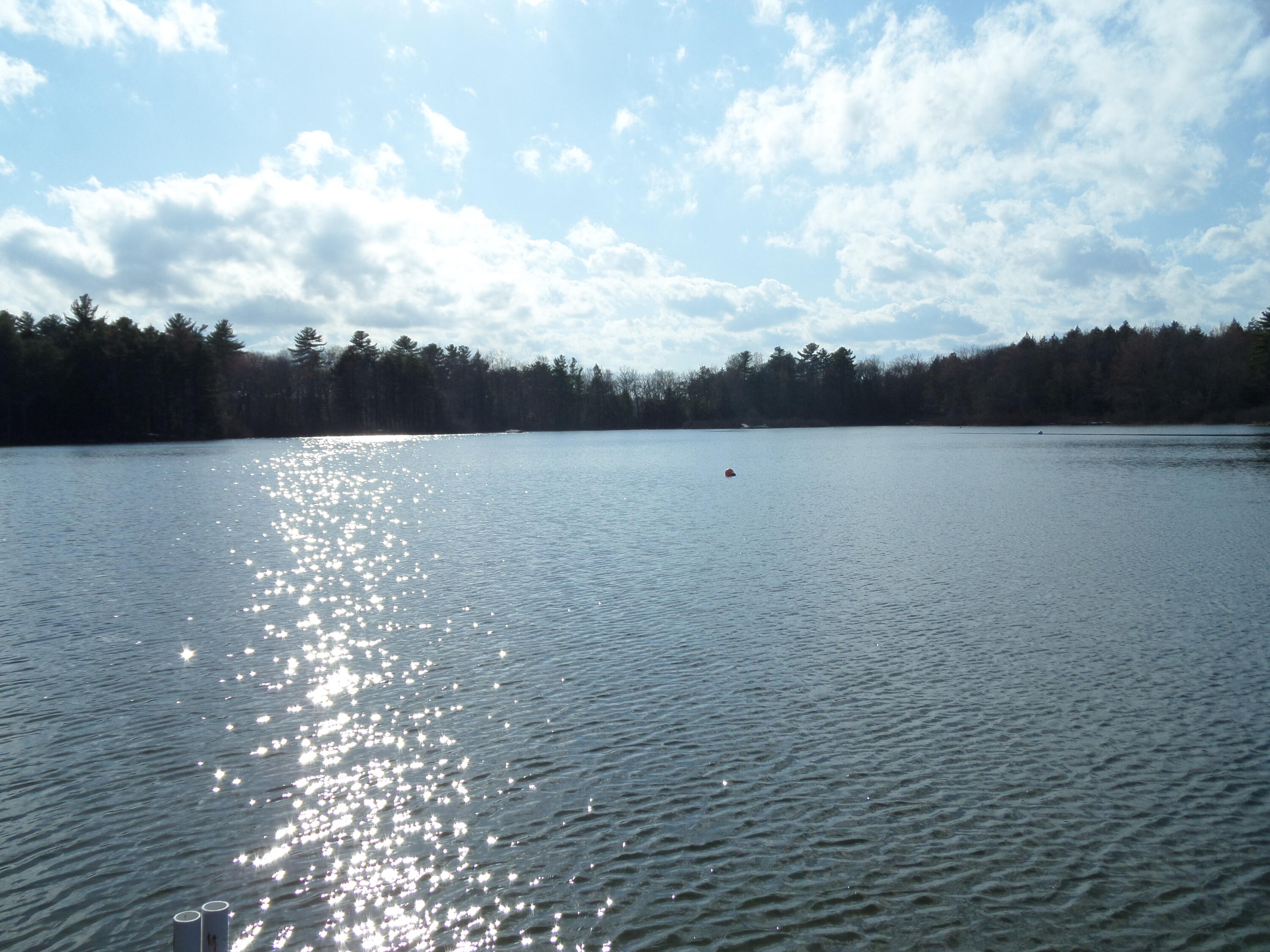 135 Wild Acres Road Raymond, ME 04071 - Photo 18 of 47 SAM_6017