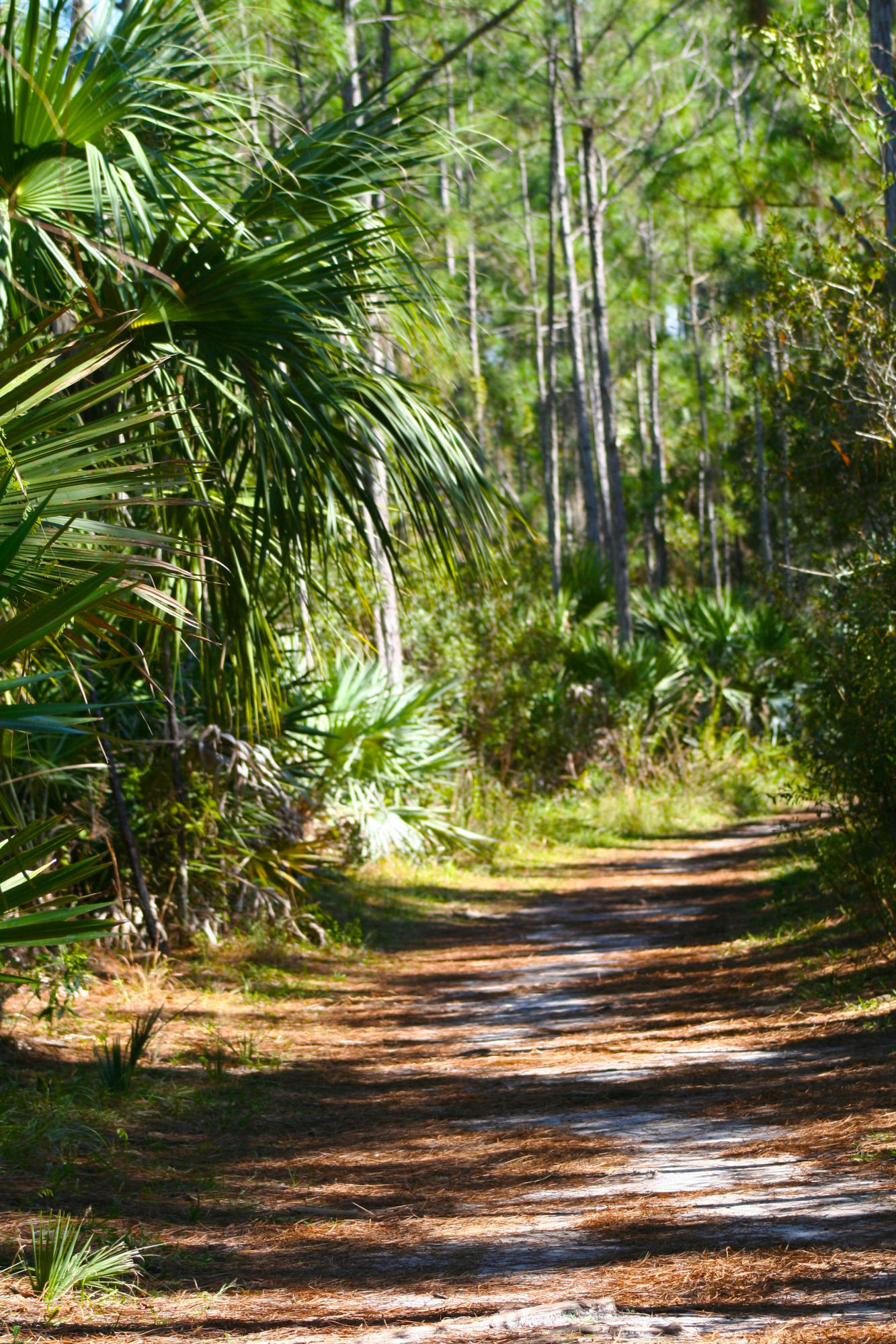 8841 First Tee Road Port St. Lucie, FL 34986 - Photo 137 of 228 109 Halpatiokee Trail One