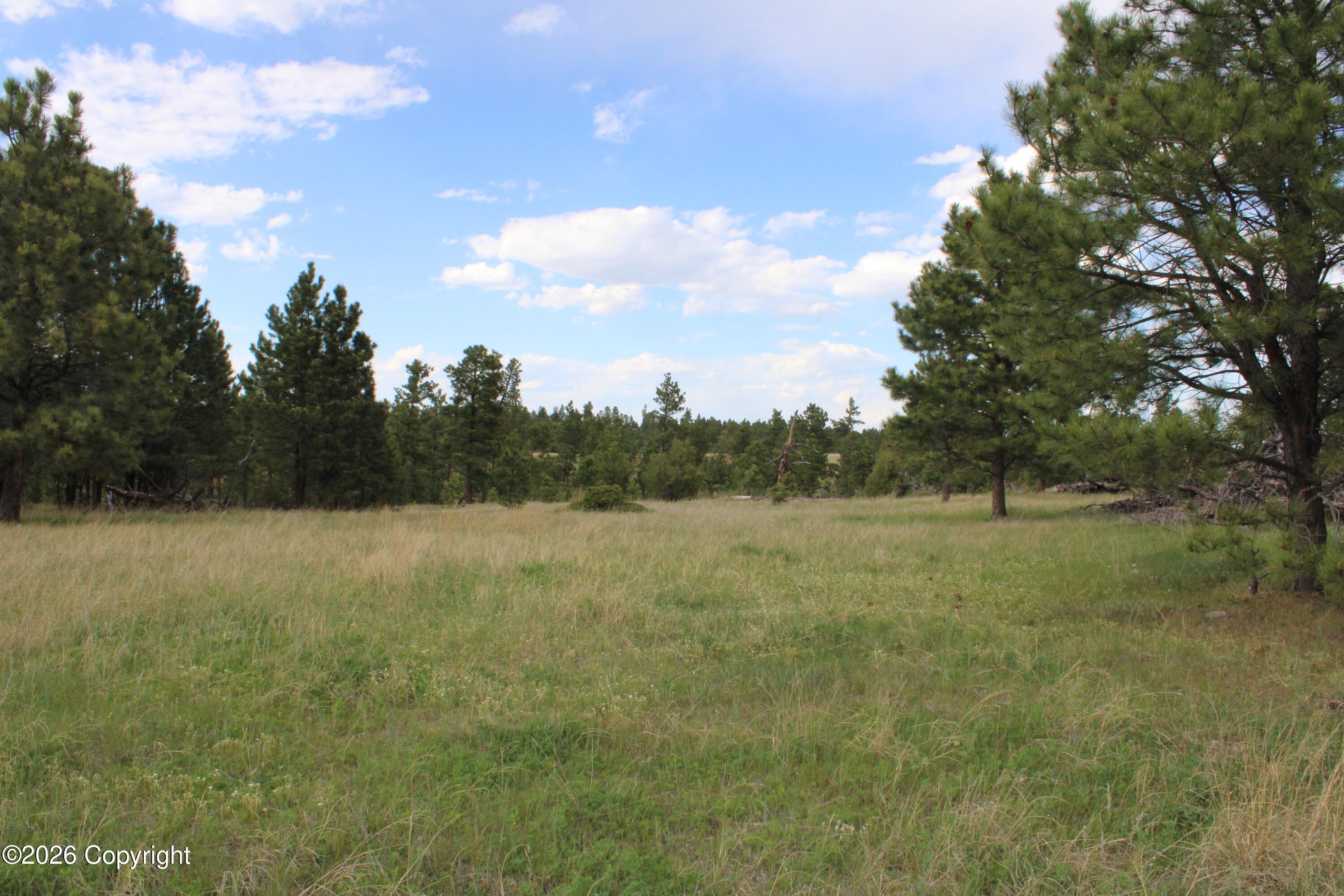 9 River Road Alva, WY 82711 - Photo 22 of 43 Gallery Image 22