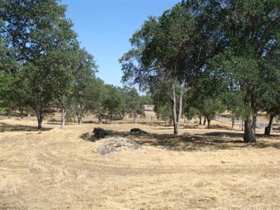 40859 Angus Road Coarsegold, CA 93614 - Photo 2 of 21 Gallery Image 2