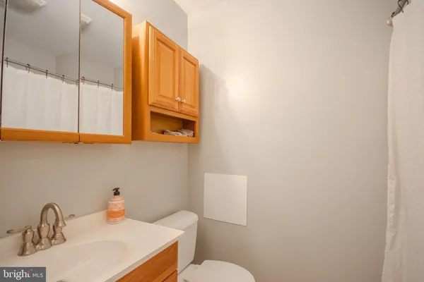 a bathroom with a sink a toilet and mirror