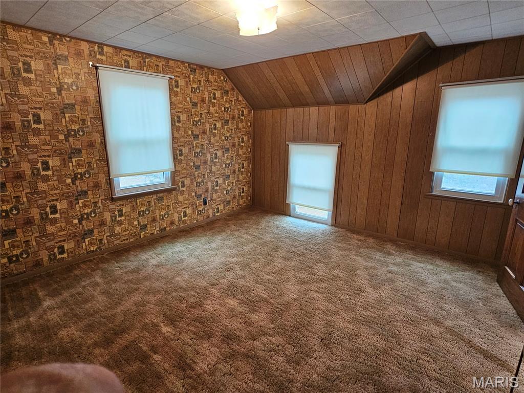 161 Main Street Fults, IL 62244 - Photo 28 of 54