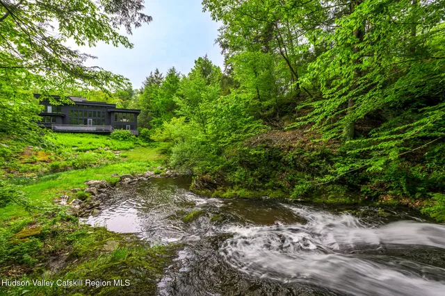a view of a pathway with a plants