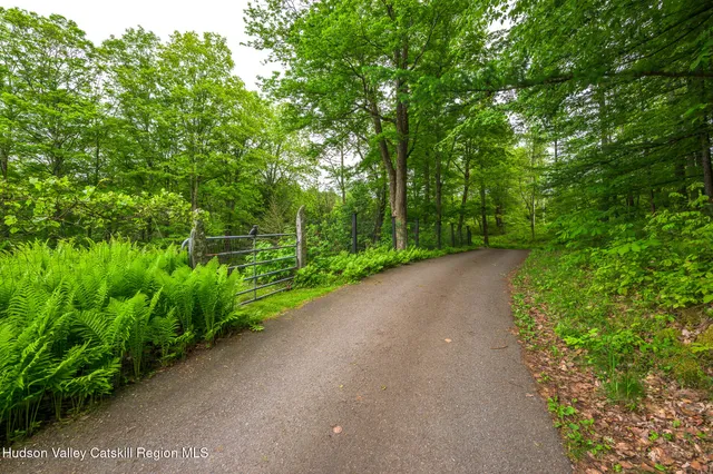 a view of a garden with plants