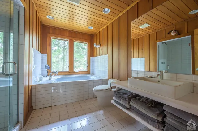 a view of a garden with a bench