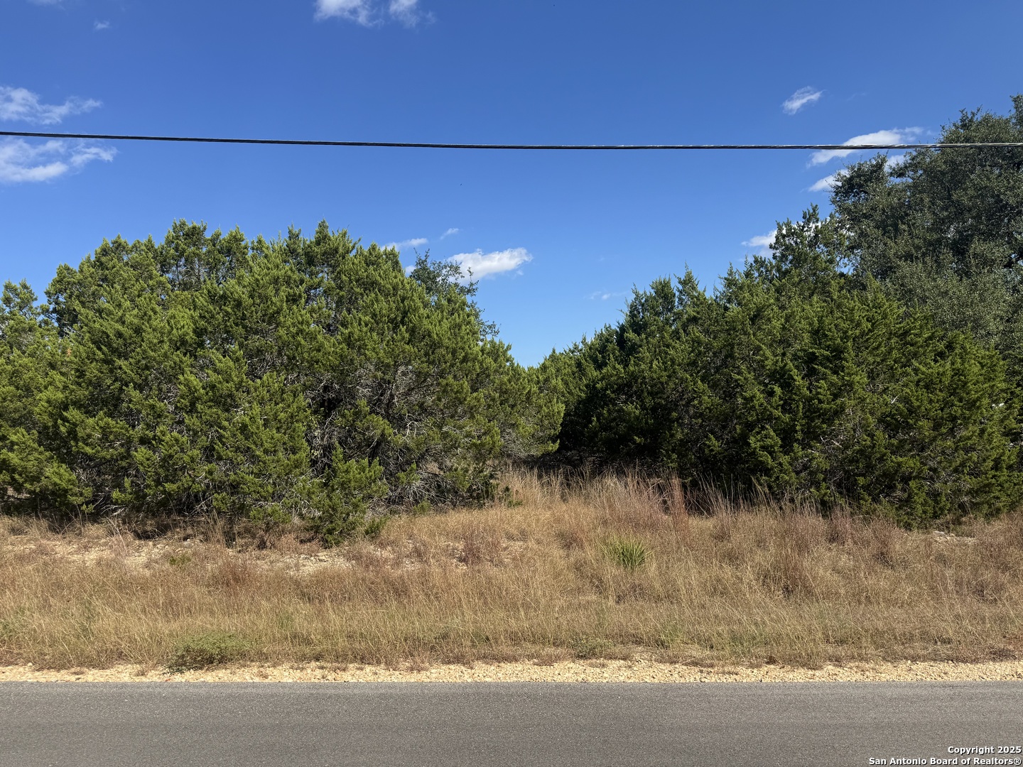 217 Breeze Point Fischer, TX 78623 - Photo 3 of 5 a view of a yard