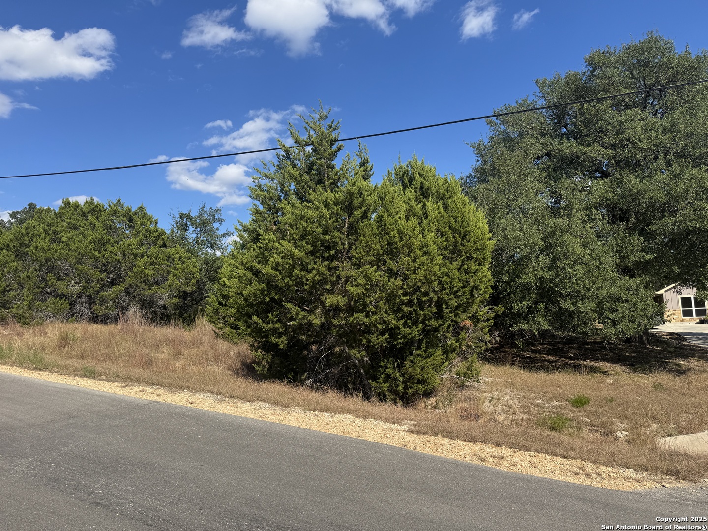 217 Breeze Point Fischer, TX 78623 - Photo 4 of 5 a view of a yard with wooden fence