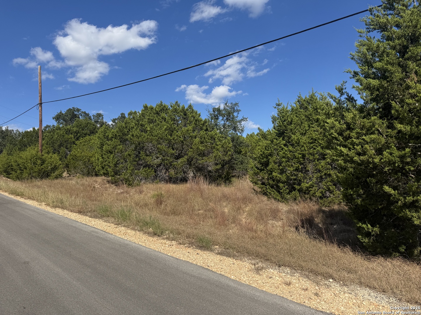 217 Breeze Point Fischer, TX 78623 - Photo 5 of 5 a view of a yard