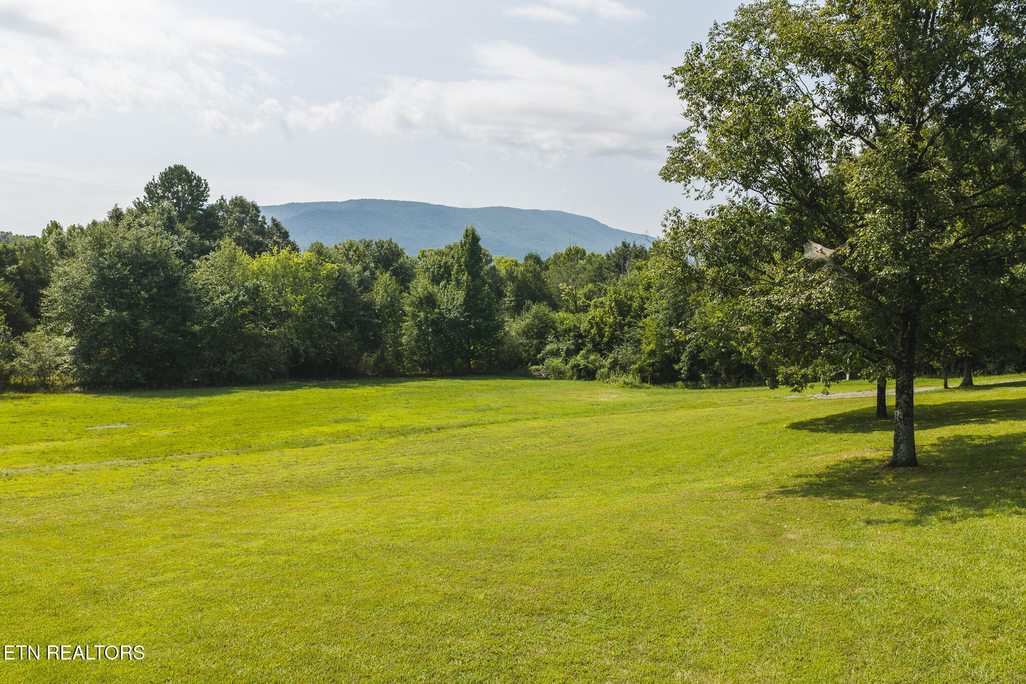 1817 Delano Road Delano, TN 37325 - Photo 9 of 31 DJI_20260728115604_0052_D