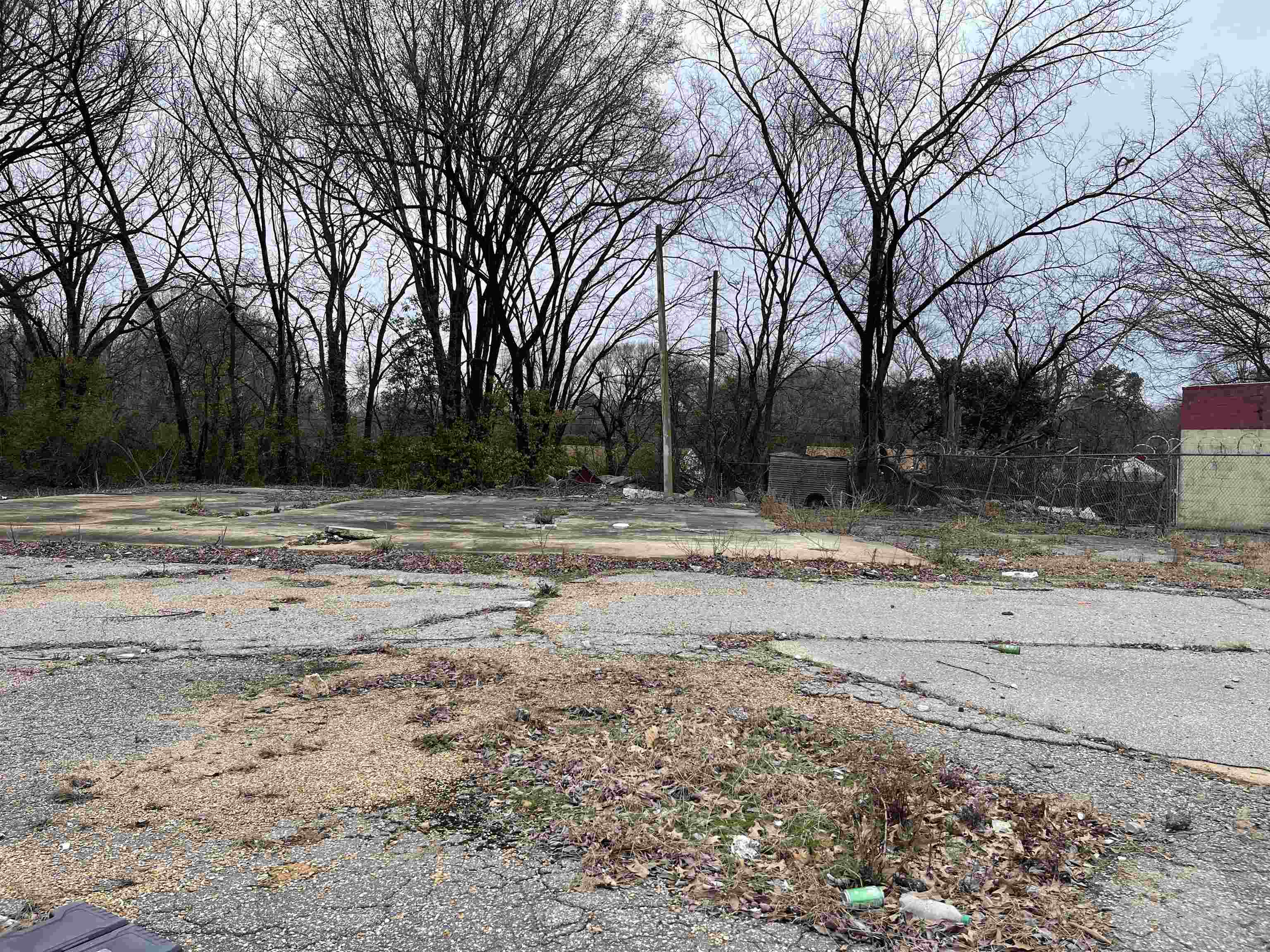 3131 Barron Avenue Memphis, TN 38111 - Photo 3 of 3 a view of ocean view with a barbeque