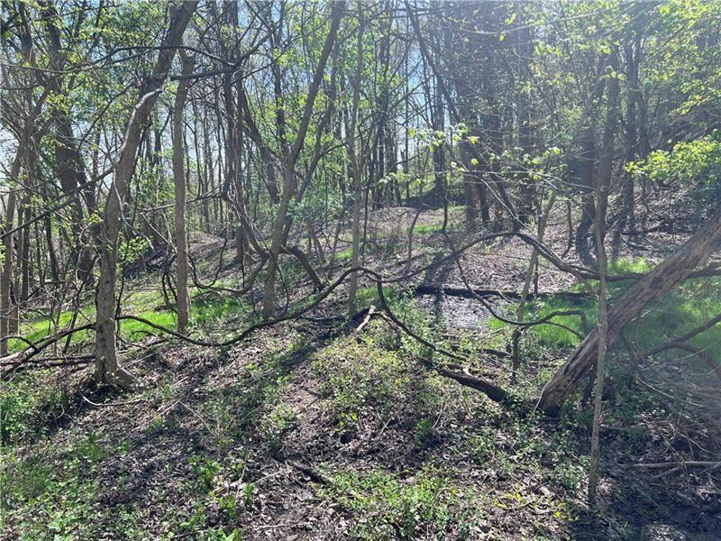 0 Mcburney Road Houston, PA 15342 - Photo 21 of 29 a backyard of a house with lots of green space