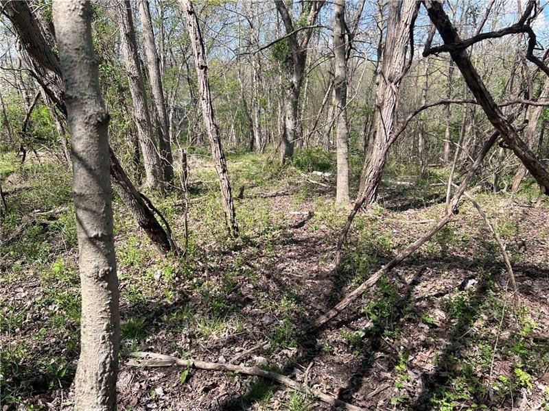 0 Mcburney Road Houston, PA 15342 - Photo 22 of 29 a backyard of a house with lots of green space