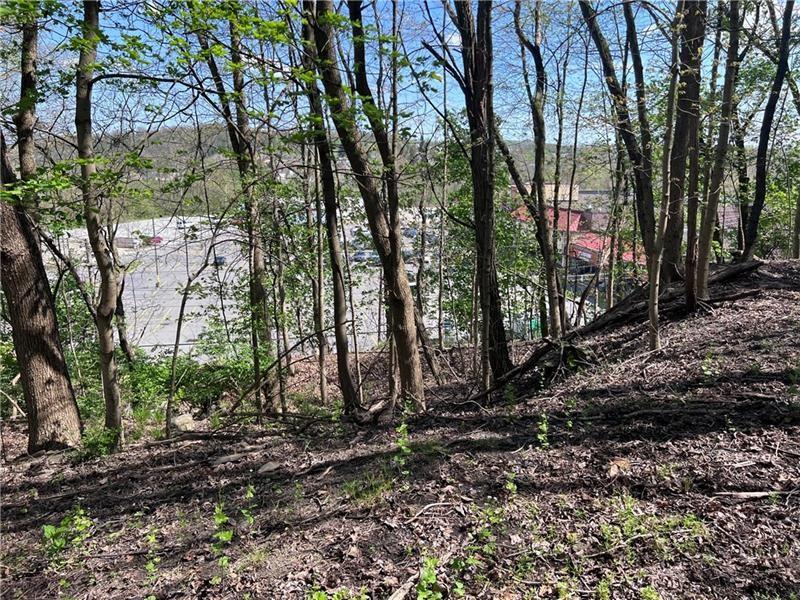 0 Mcburney Road Houston, PA 15342 - Photo 23 of 29 a view of backyard with tree