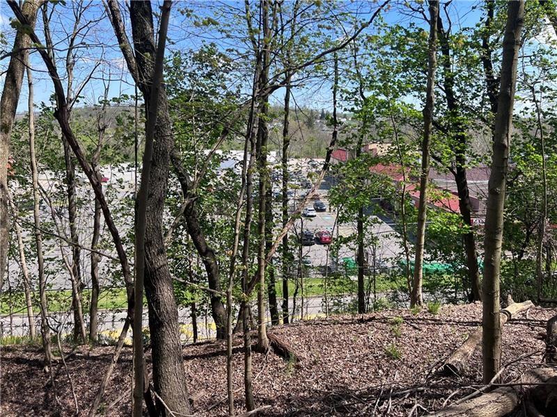 0 Mcburney Road Houston, PA 15342 - Photo 24 of 29 a view of a forest filled with trees