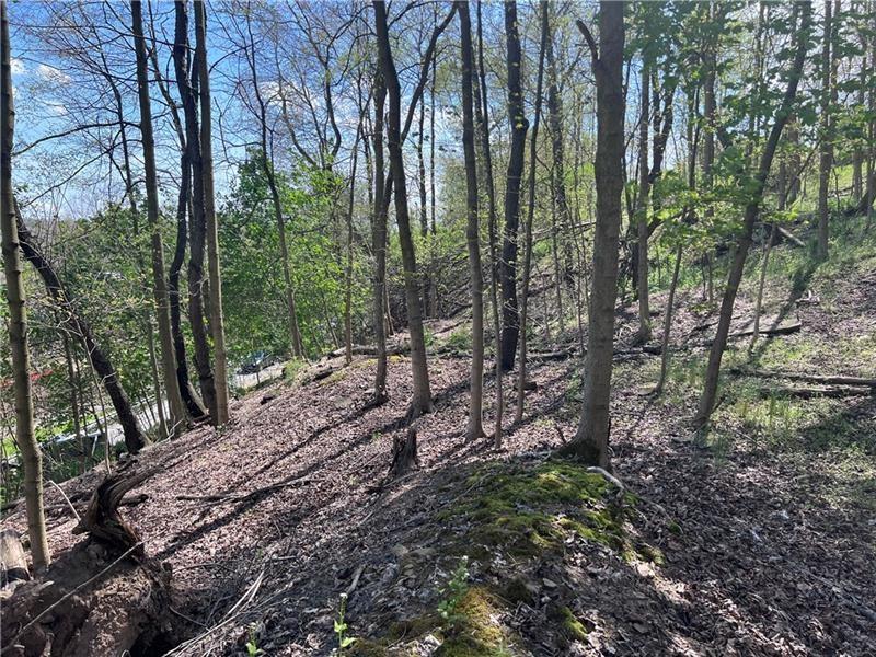 0 Mcburney Road Houston, PA 15342 - Photo 25 of 29 a view of a forest with trees