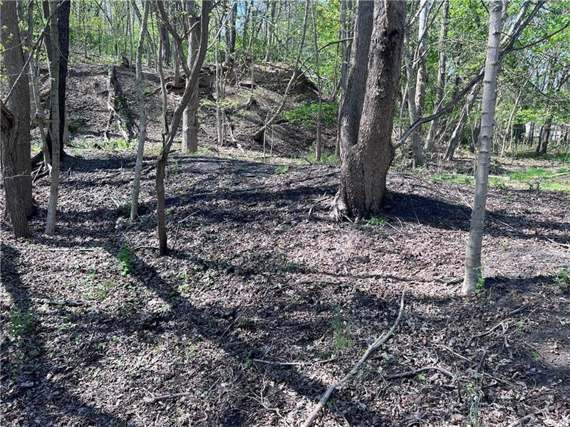 0 Mcburney Road Houston, PA 15342 - Photo 26 of 29 a view of a yard