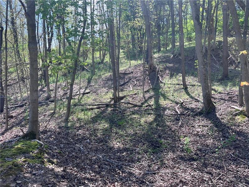 0 Mcburney Road Houston, PA 15342 - Photo 27 of 29 a view of a forest that has large trees