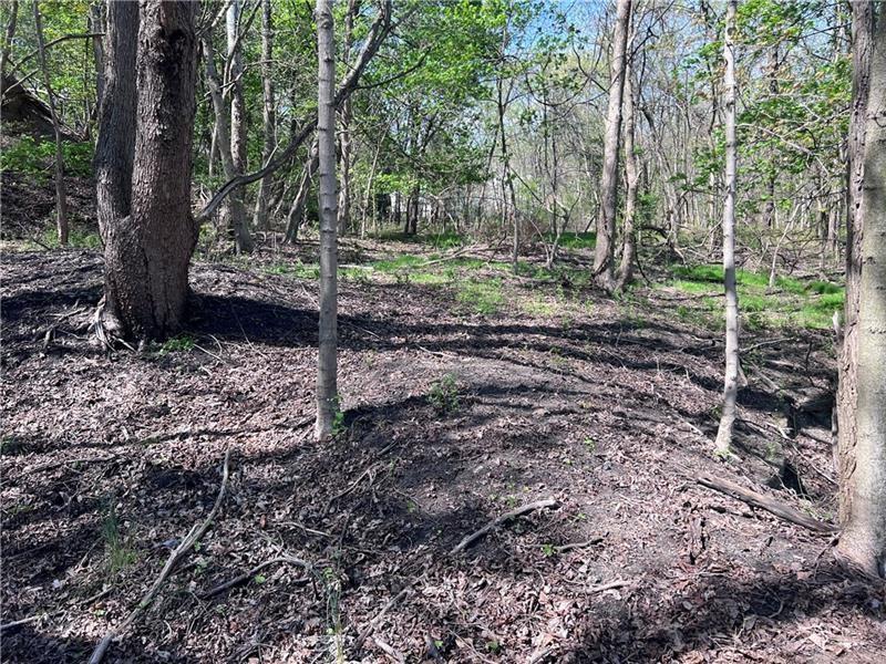 0 Mcburney Road Houston, PA 15342 - Photo 28 of 29 a backyard of a house with lots of green space