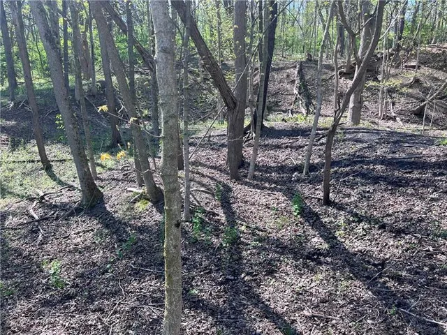 $135,000 | 0 Mcburney Road, Houston, PA 15342