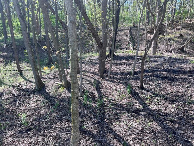 0 Mcburney Road Houston, PA 15342 - Photo 29 of 29 a view of a forest filled with trees