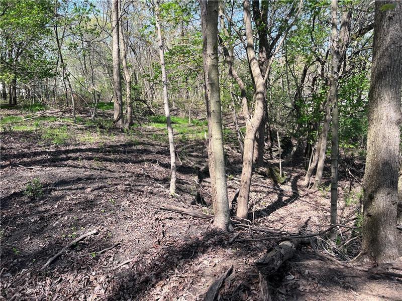 0 Mcburney Road Houston, PA 15342 - Photo 5 of 29 a backyard of a house with lots of green space