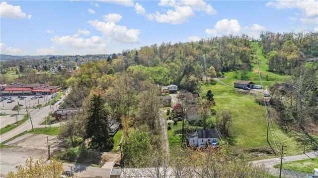 a view of a forest with trees in the background