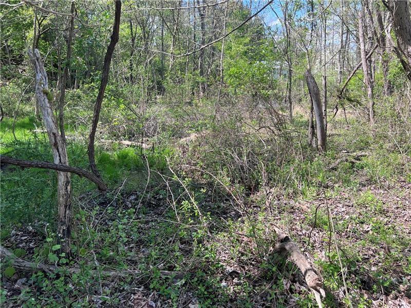0 Mcburney Road Houston, PA 15342 - Photo 7 of 29 a view of a forest with trees in the background