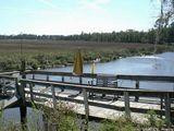 125 Robbie Road Brunswick, GA 31523 - Photo 1 of 1 Gallery Image 1
