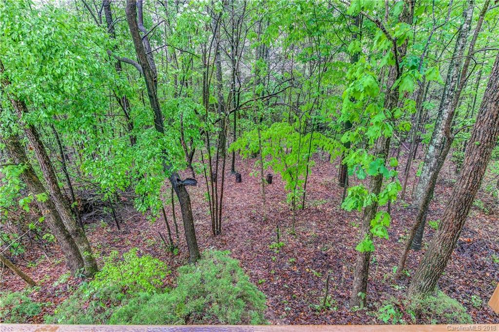 252 Choate Avenue Fort Mill, SC 29708 - Photo 34 of 34