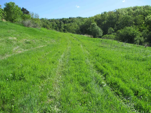 $450,450 | 55 A County Highway, Elroy, WI 53929