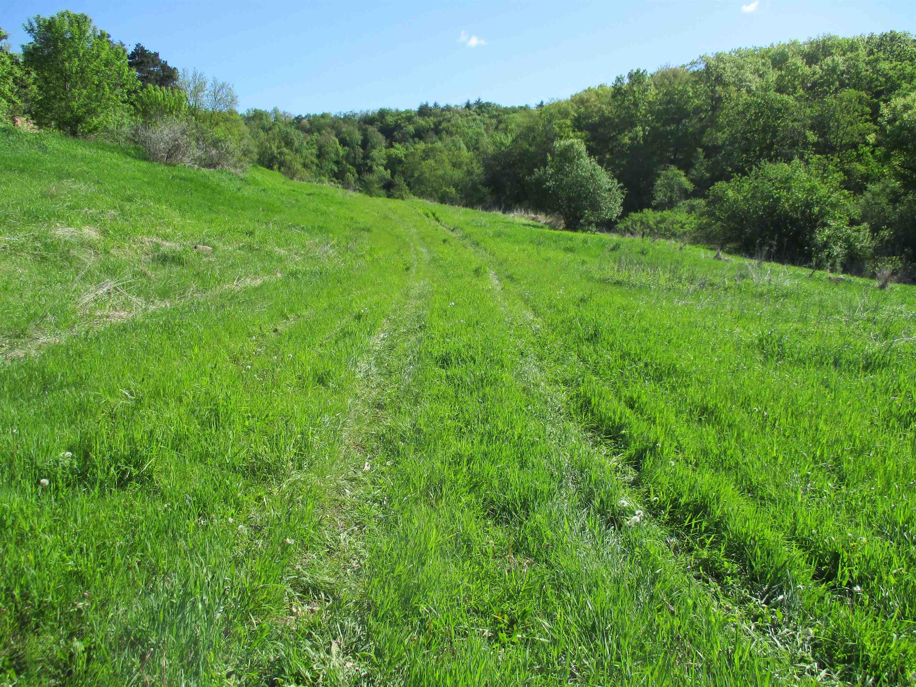 55 A County Highway Elroy, WI 53929 - Photo 13 of 45