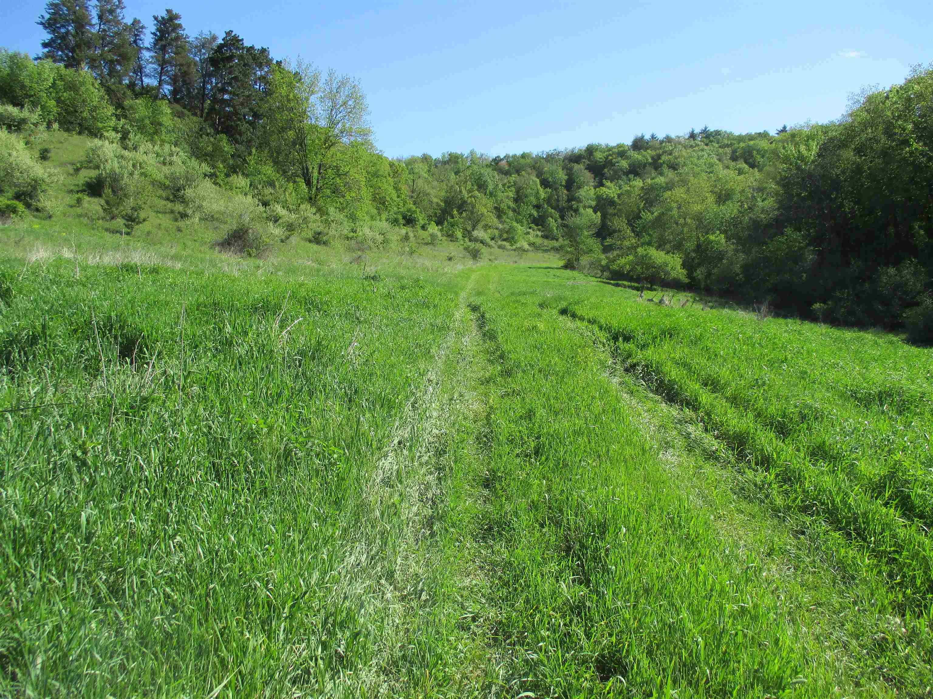 55 A County Highway Elroy, WI 53929 - Photo 14 of 45