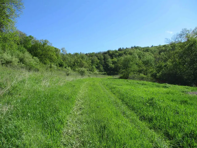 $450,450 | 55 A County Highway, Elroy, WI 53929