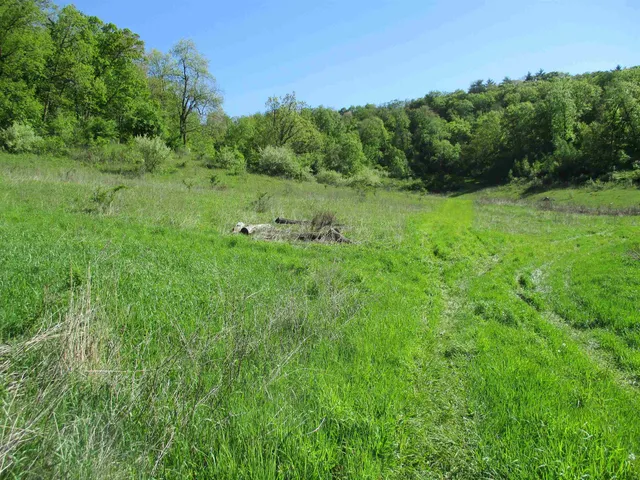 $450,450 | 55 A County Highway, Elroy, WI 53929