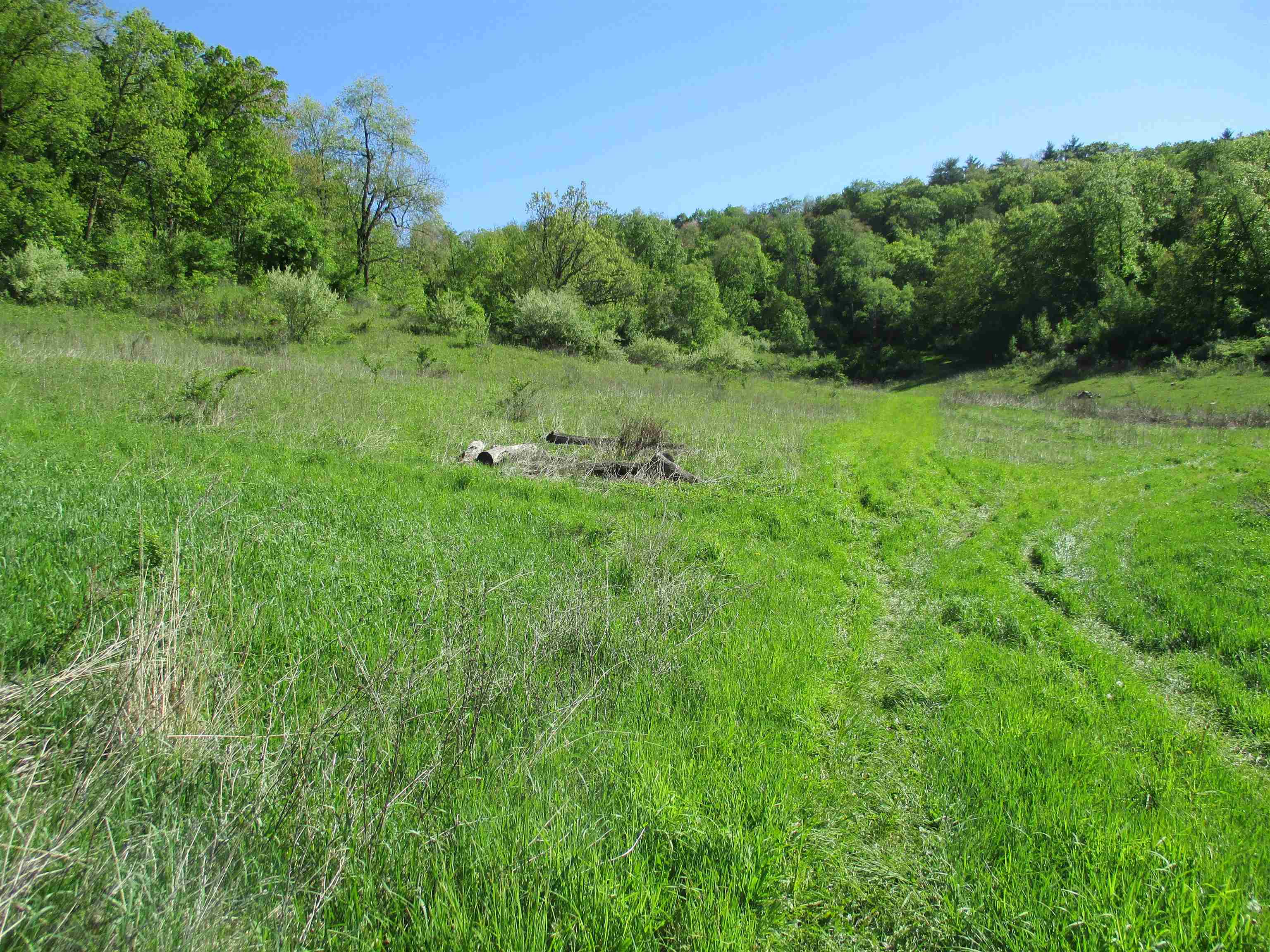 55 A County Highway Elroy, WI 53929 - Photo 19 of 45