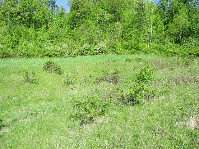 $450,450 | 55 A County Highway, Elroy, WI 53929