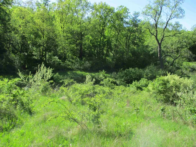 $450,450 | 55 A County Highway, Elroy, WI 53929