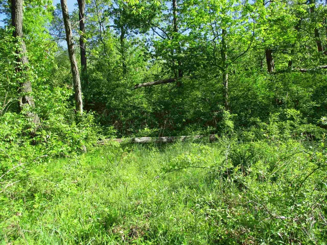 $450,450 | 55 A County Highway, Elroy, WI 53929