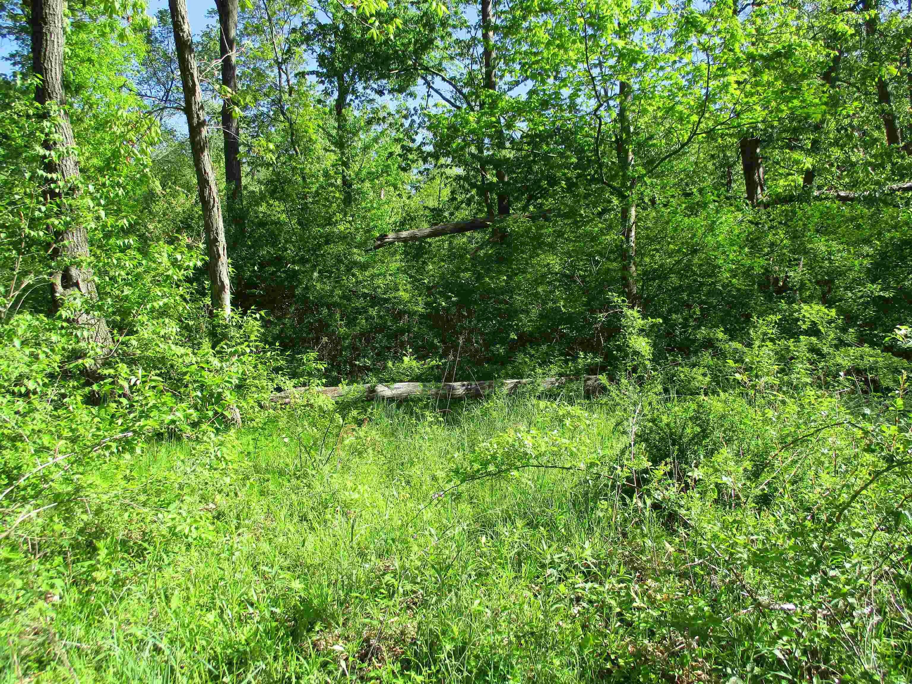 55 A County Highway Elroy, WI 53929 - Photo 30 of 45