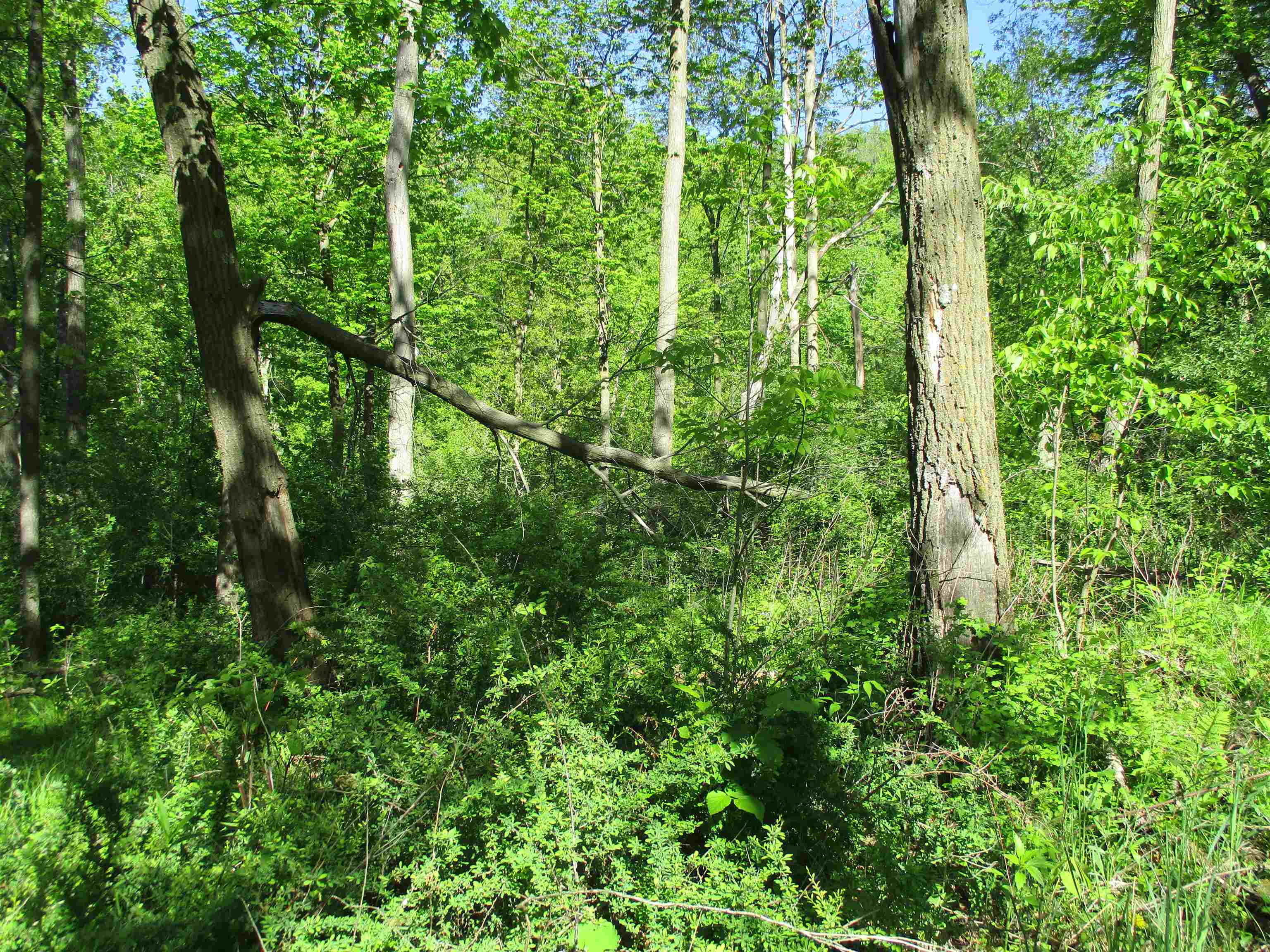 55 A County Highway Elroy, WI 53929 - Photo 31 of 45