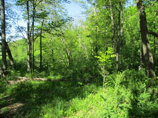 $450,450 | 55 A County Highway, Elroy, WI 53929