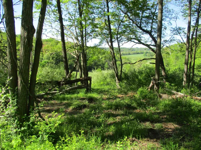 $450,450 | 55 A County Highway, Elroy, WI 53929