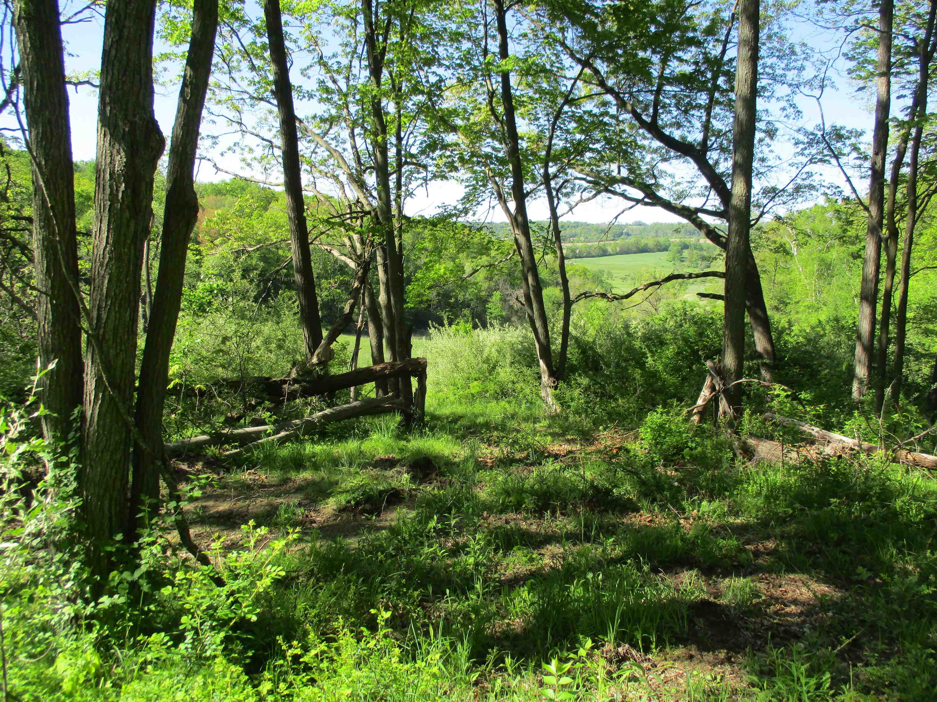 55 A County Highway Elroy, WI 53929 - Photo 33 of 45